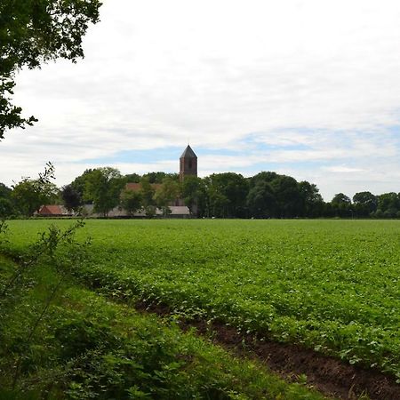 Mooi Nieuw Houten Huisje Havelte Zewnętrze zdjęcie