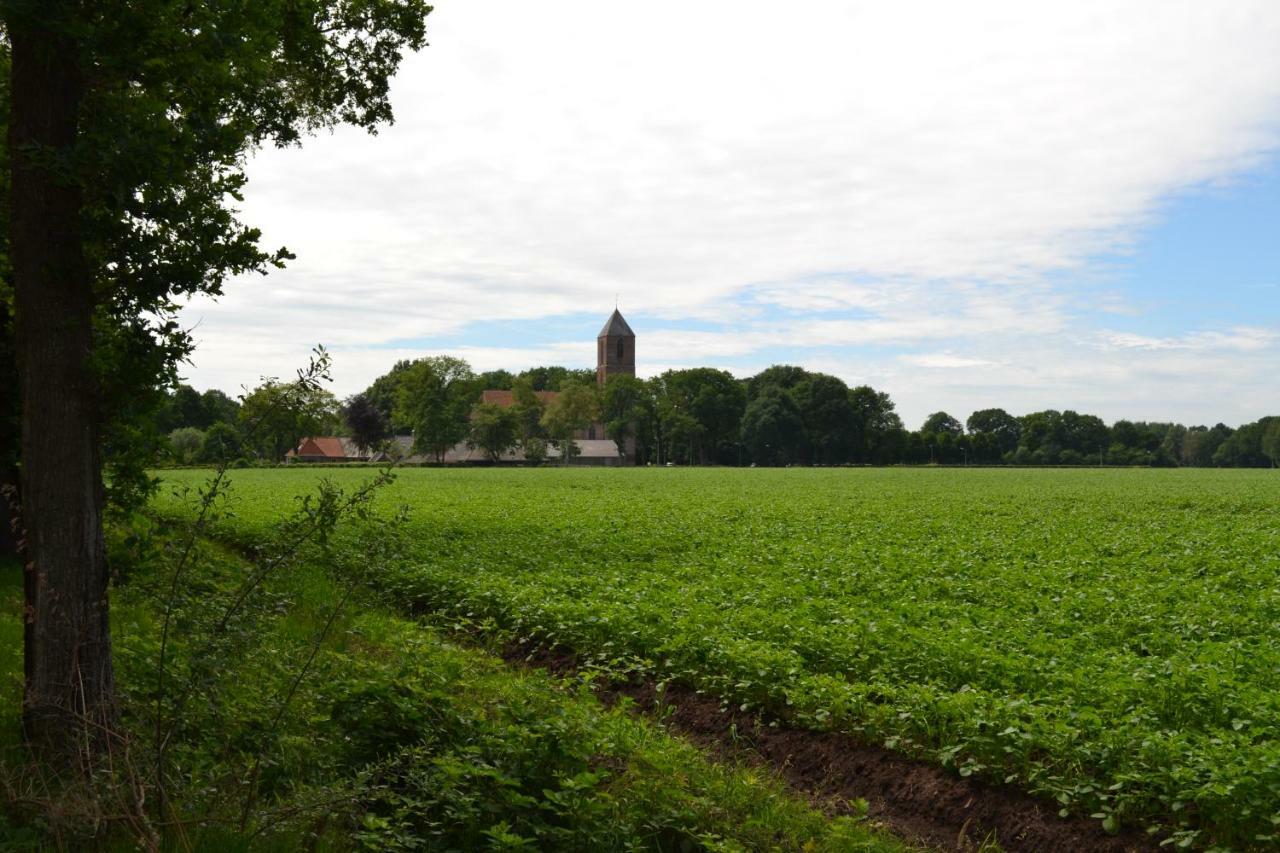 Mooi Nieuw Houten Huisje Havelte Zewnętrze zdjęcie