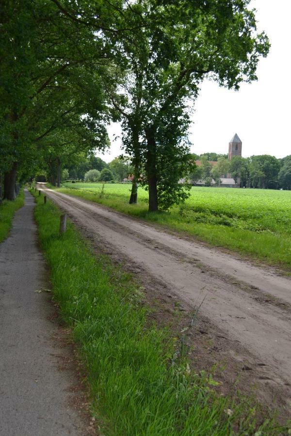 Mooi Nieuw Houten Huisje Havelte Zewnętrze zdjęcie